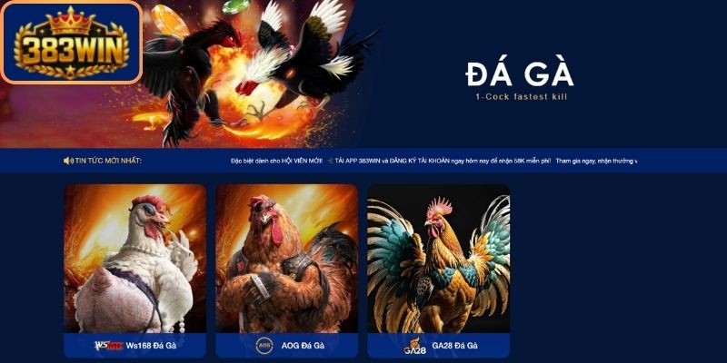 Sơ bộ thông tin về sân chơi chất lượng đá gà 383Win