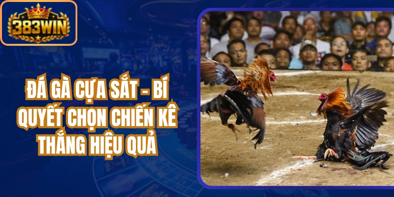 Đá Gà Cựa Sắt - Bí Quyết Chọn Chiến Kê Thắng Hiệu Quả